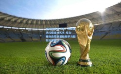 足彩网体育公司：传射建功闪耀奥林匹克 埃文-弗格森荣膺最佳助罗马轻取热那亚