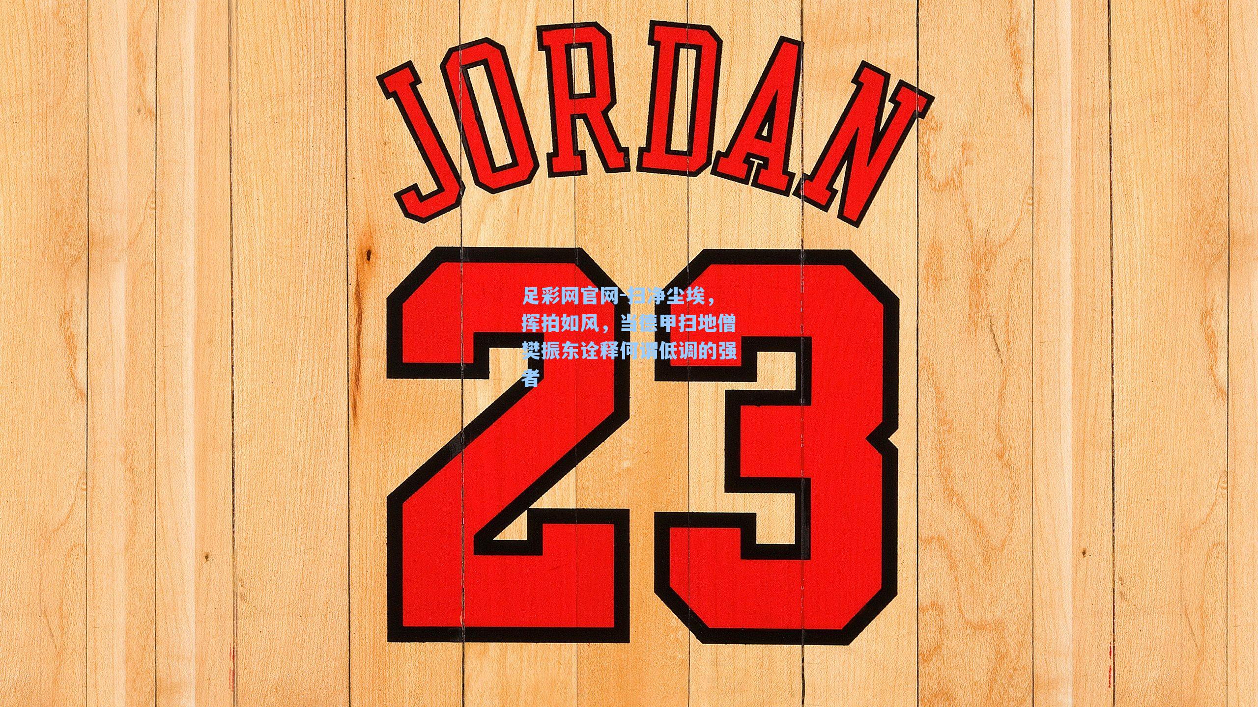 扫净尘埃,挥拍如风,当德甲扫地僧樊振东诠释何谓低调的强者