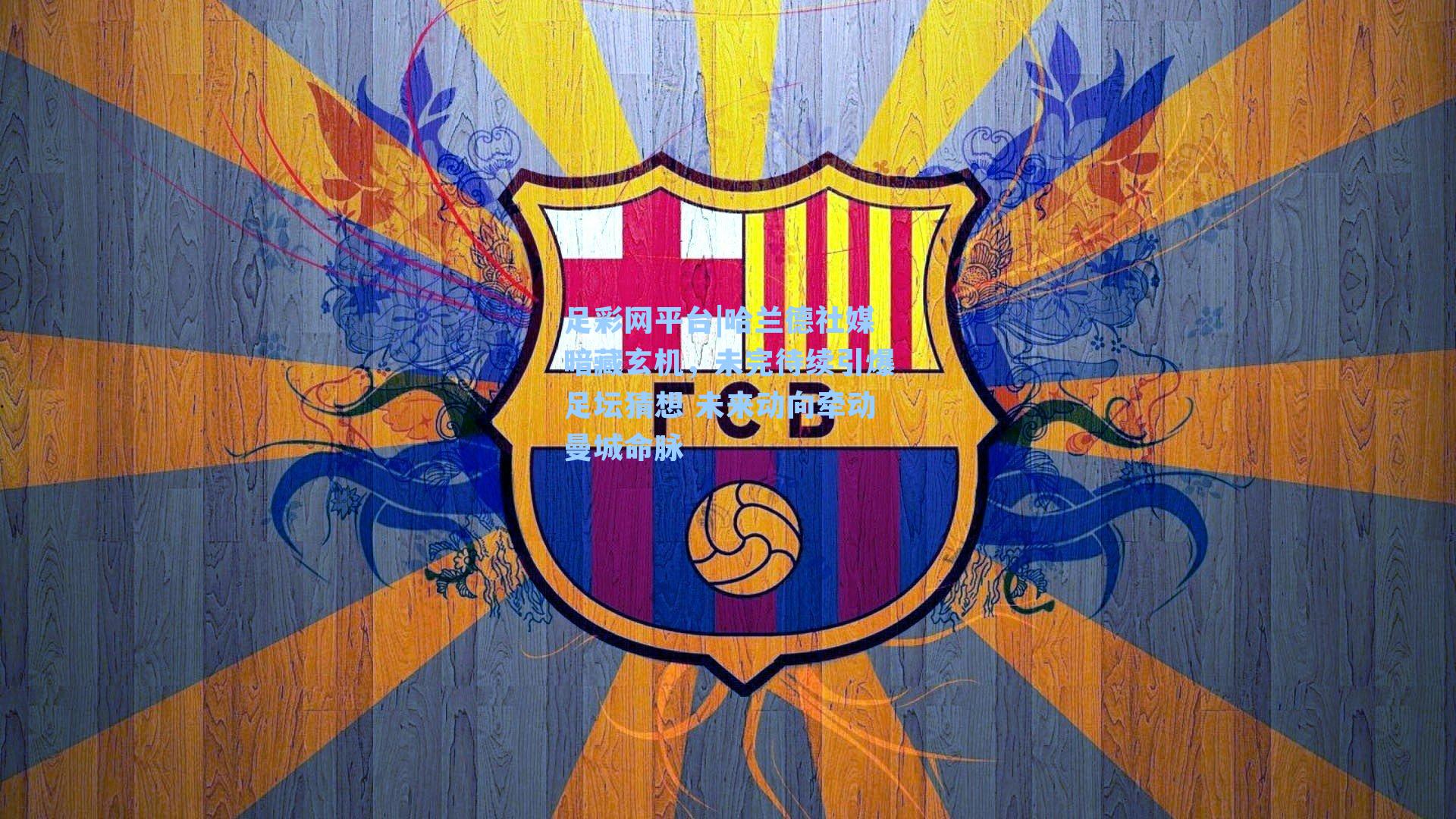 哈兰德社媒暗藏玄机，未完待续引爆足坛猜想 未来动向牵动曼城命脉