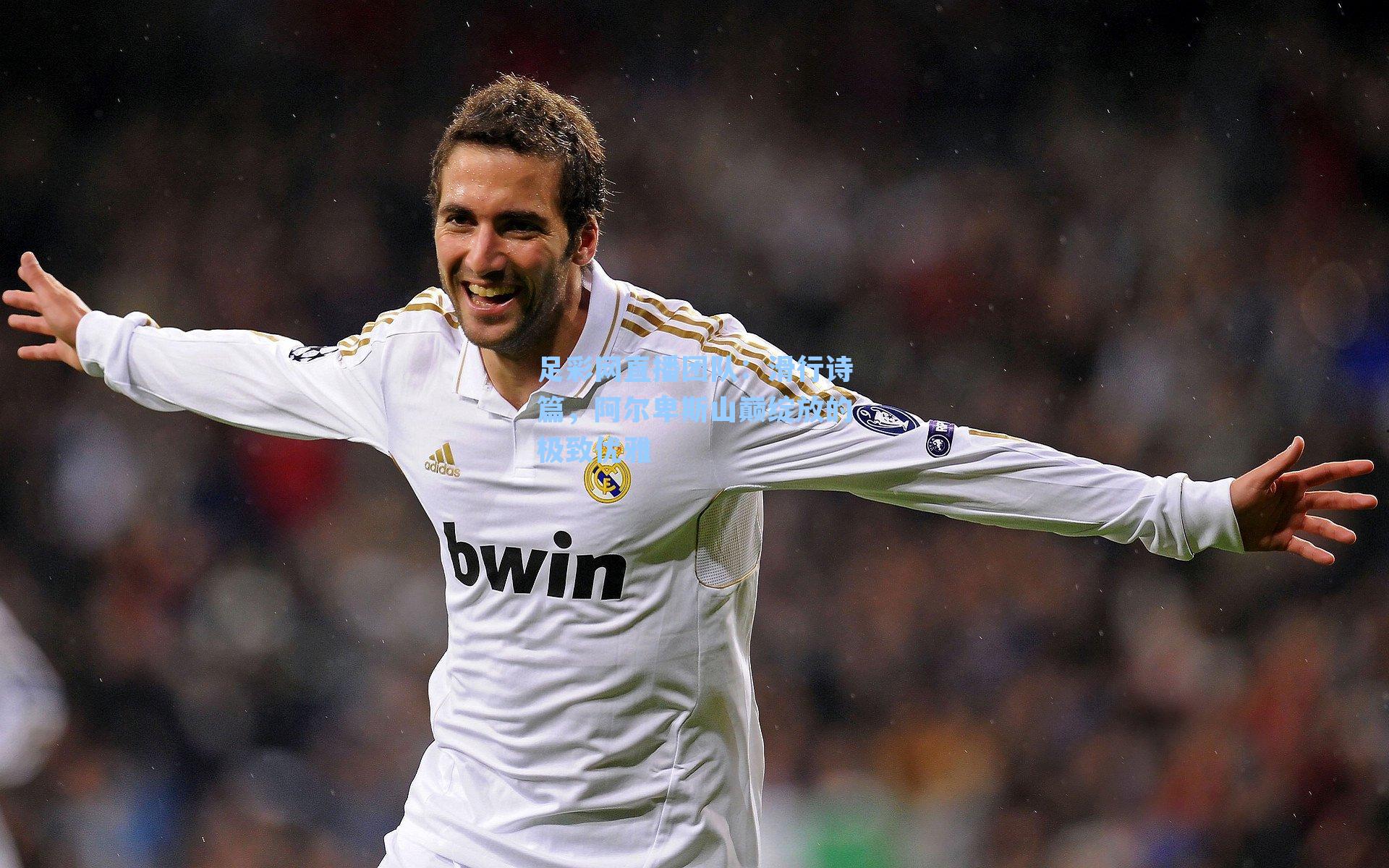 滑行诗篇，阿尔卑斯山巅绽放的极致优雅