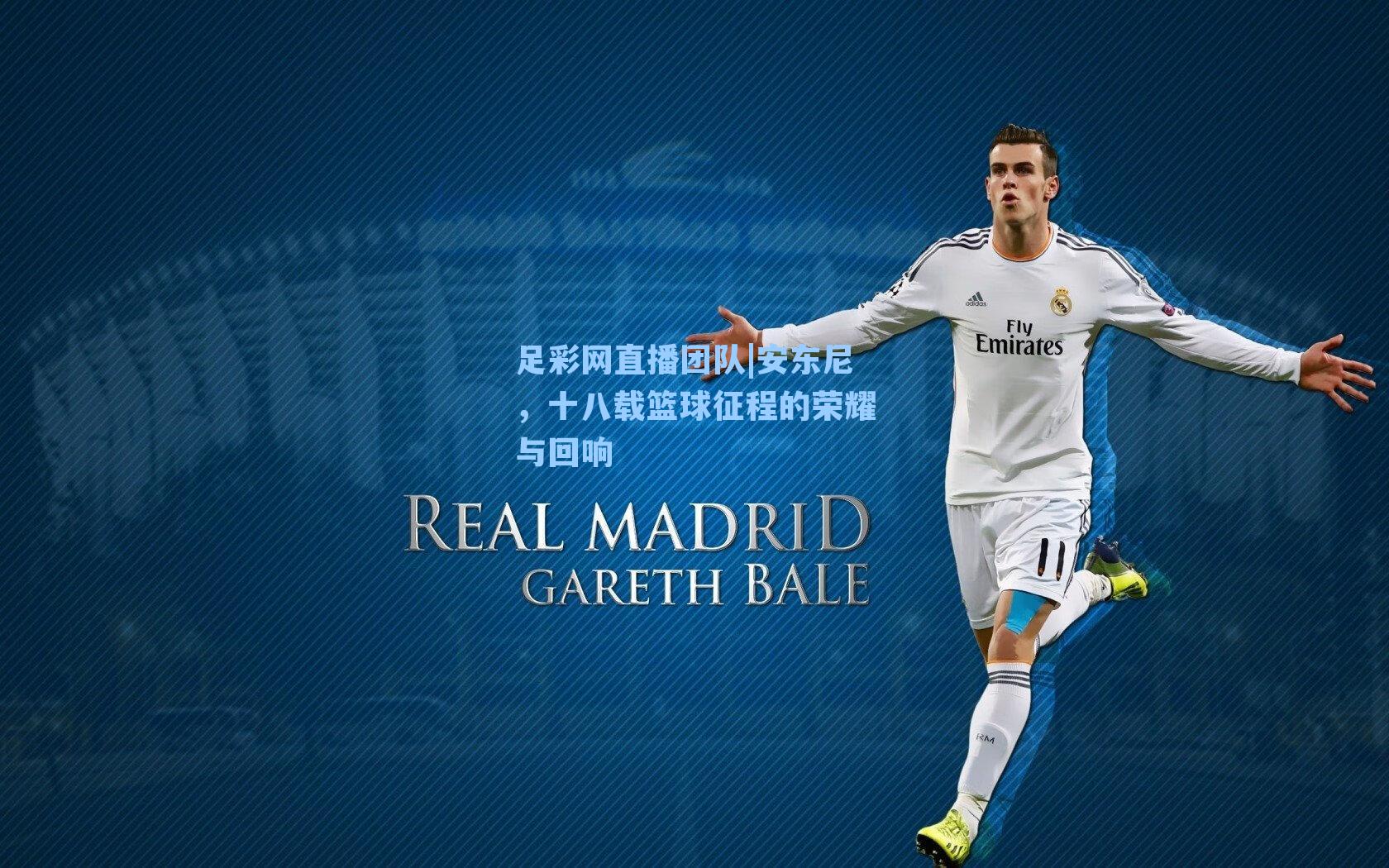 安东尼，十八载篮球征程的荣耀与回响