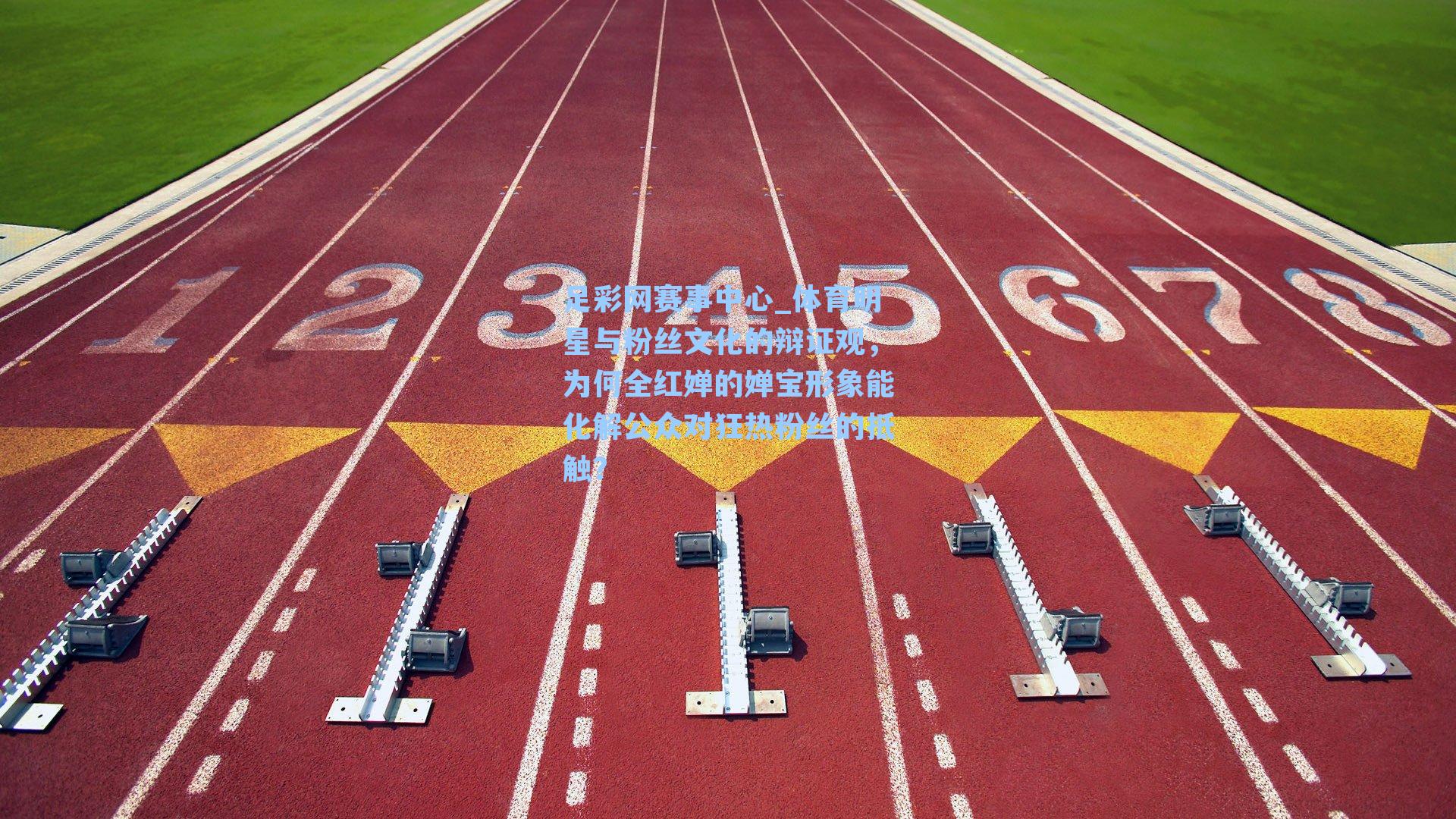 体育明星与粉丝文化的辩证观，为何全红婵的婵宝形象能化解公众对狂热粉丝的抵触？